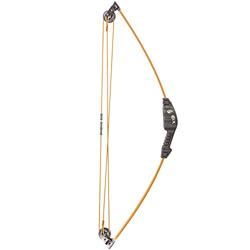 Bear Archery Spark Youth Bow Set, Ambidextrous, Flo Orange