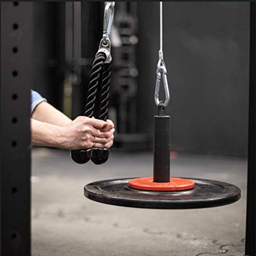 LFJ Weight Loading Pin with Carabiner fit 1 inch and 2 inch Olympic Weight Plate for Cable Pulley System LAT Pulldown (Olympic Plates Loading Pin)