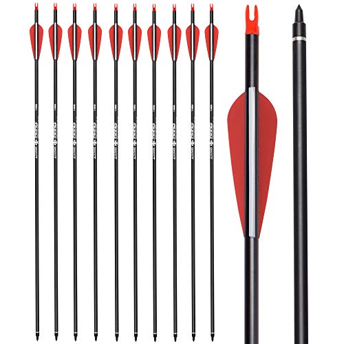 YLSIO Archery Carbon Arrow Hunting Target Practice Arrows 26 Inch with Removable Tips for Compound & Recurve Bow Spine 500 12PCS