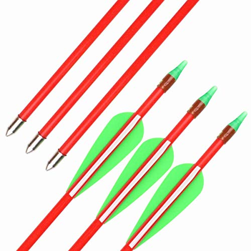 GPP 12 PK 28 Fiberglass Archery Target Arrows - Practice Arrow or Youth Arrow for Recurve Bow, Red