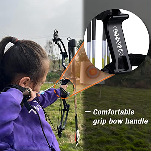 PANDARUS Compound Bow Set 10-40lbs for Pull Child Right Hand Lightweight Design Bow Adjustable 16"~28" Draw Length IBO 290fps New 2023 Professional Set (Black Right Handed)