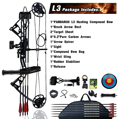 PANDARUS Compound Bow Set 10-40lbs for Pull Child Right Hand Lightweight Design Bow Adjustable 16"~28" Draw Length IBO 290fps New 2023 Professional Set (Black Right Handed)