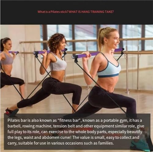 Stretched Fusion Pilates Bar, Pilates Stretched Fusion Bar, Stretchedfusion Multi-functional Pilates Bar, Pilates Stretched Fusion Bar, Multifunctional Pilates Bar Stretched Fusion for Home-Blue