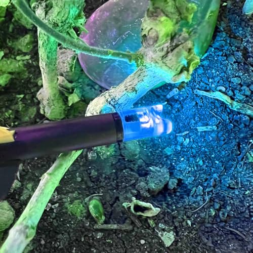 Lzwow 6PCS Lighted Nocks Universal Fit for Crossbow Bolts with .285”/.297”/.300”/.305” Bushings Half-Moon Light up Knocks (Blue)