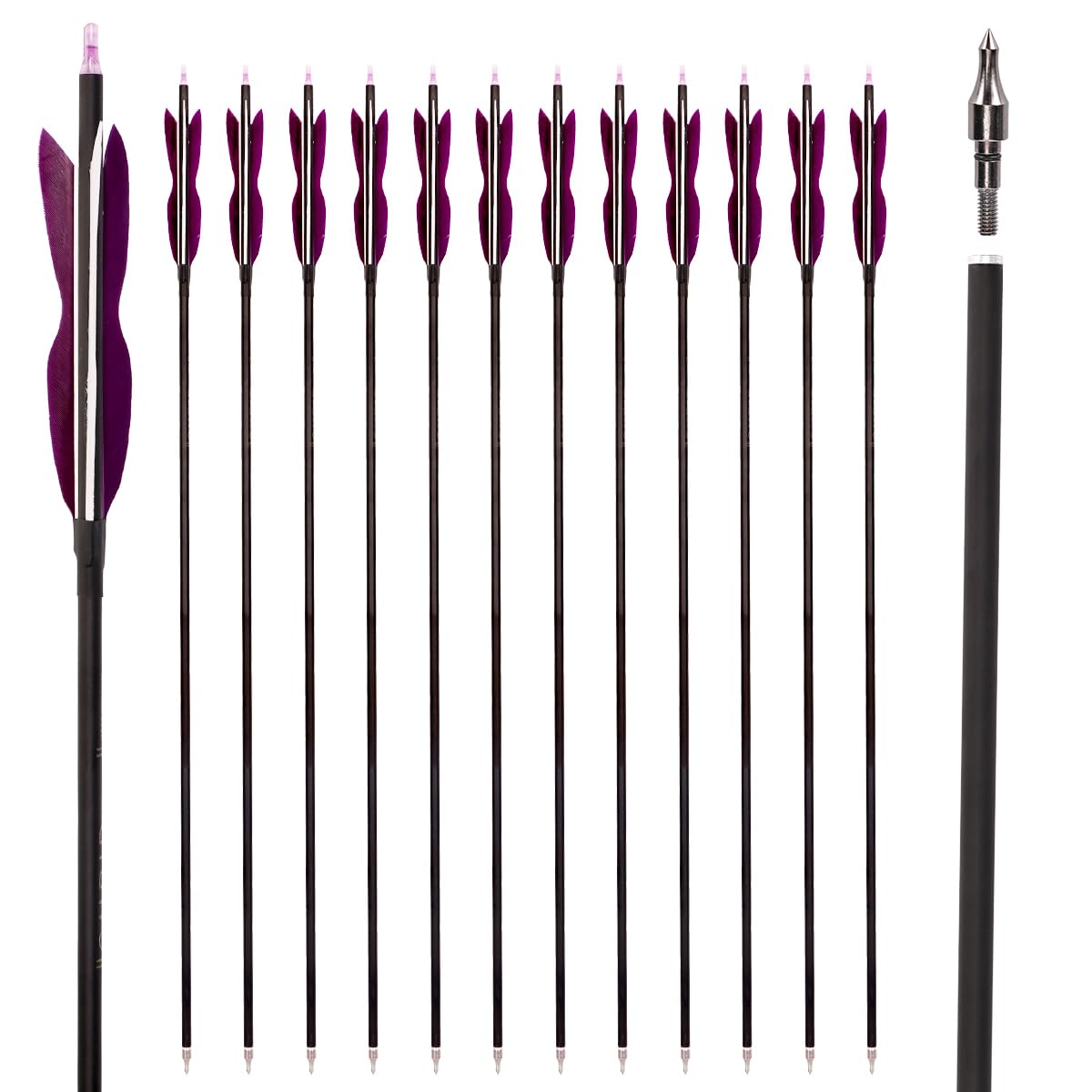 LWANO 31" Carbon Hunting Arrows Archery Target Practice Arrows with 5" Turkey Feathers spine 500 for Recurve Bow and Compound Bow(Pack of 12) (7.8MM Purple)
