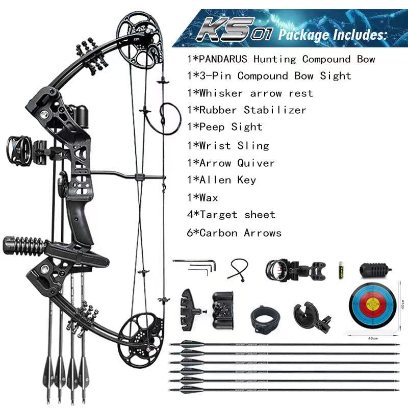 PANDARUS Compound Bow Set 15-45lbs for Pull Beginner and Teens Right Handed Adjustable 18"-29" Draw Length, 320 FPS Speed, Hunting Bow Archery Set New 2024(Black Right Handed)