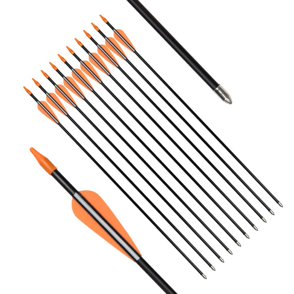 Archery Practice Fiberglass Arrows 28 Inch Target Shooting Safetyglass Recurve Bows Suitable for Youth Children Woman Beginner 6PCS