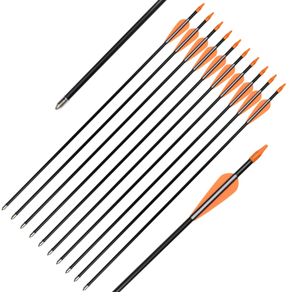 Archery Practice Fiberglass Arrows 28 Inch Target Shooting Safetyglass Recurve Bows Suitable for Youth Children Woman Beginner 6PCS