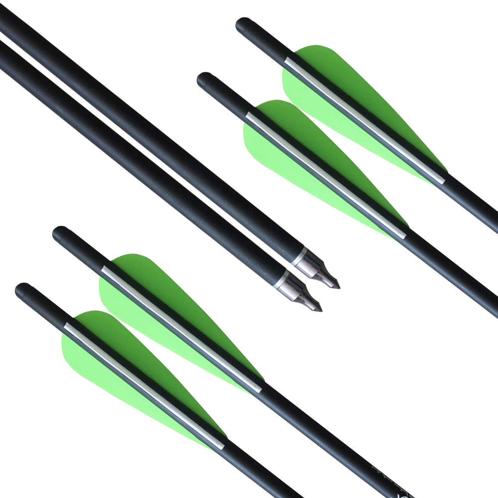 REEGOX 20 inch Crossbow Bolts Bio with 4-Inch Vanes(Pack of 12)