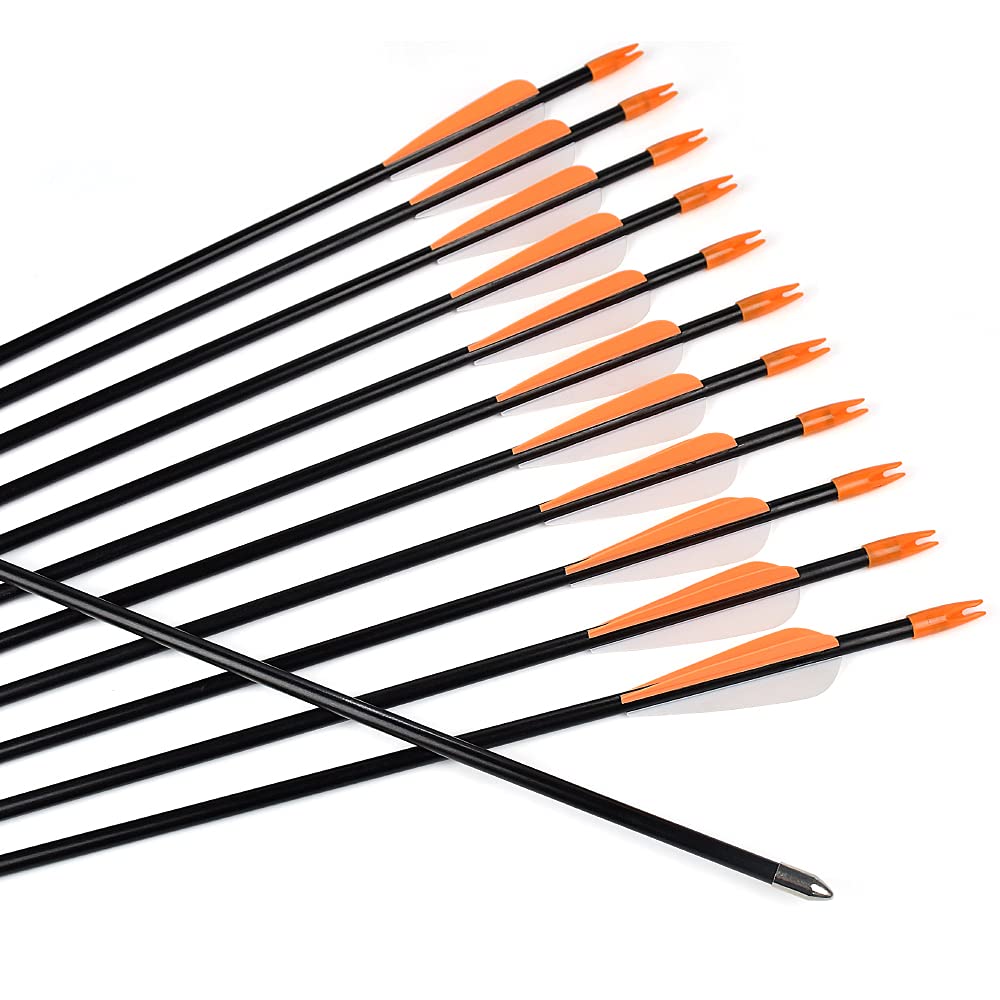 Archery Practice Fiberglass Arrows 28 Inch Target Shooting Safetyglass Recurve Bows Suitable for Youth Children Woman Beginner 6PCS