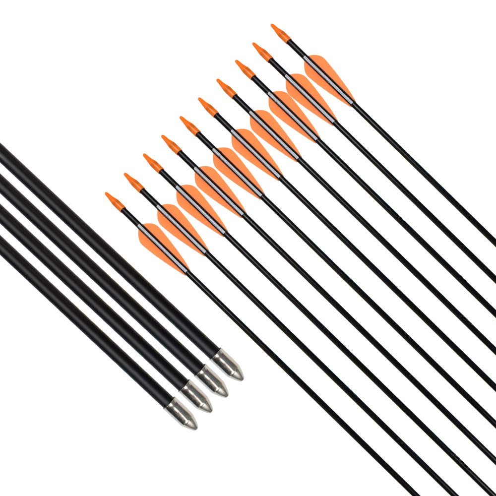 Archery Practice Fiberglass Arrows 28 Inch Target Shooting Safetyglass Recurve Bows Suitable for Youth Children Woman Beginner 6PCS