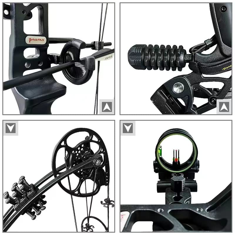 PANDARUS Compound Bow Set 15-45lbs for Pull Beginner and Teens Right Handed Adjustable 18"-29" Draw Length, 320 FPS Speed, Hunting Bow Archery Set New 2024(Black Right Handed PRO)