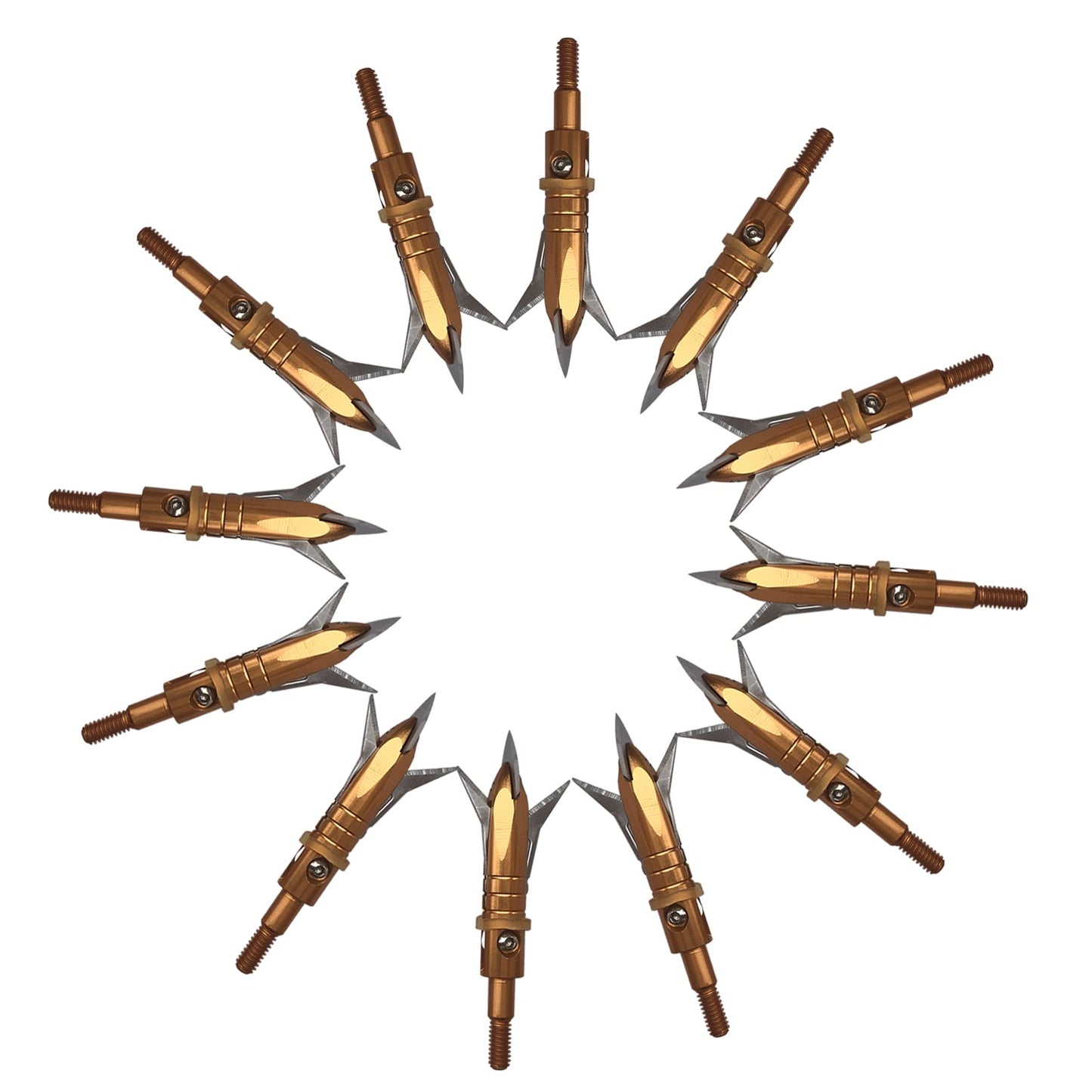 e5e10 12pcs Hunting Broadheads 100 Grain Archery Broadheads New Stell Broadheads + 1 pcs Black Broadhead Case for Arrowheads (Golden)
