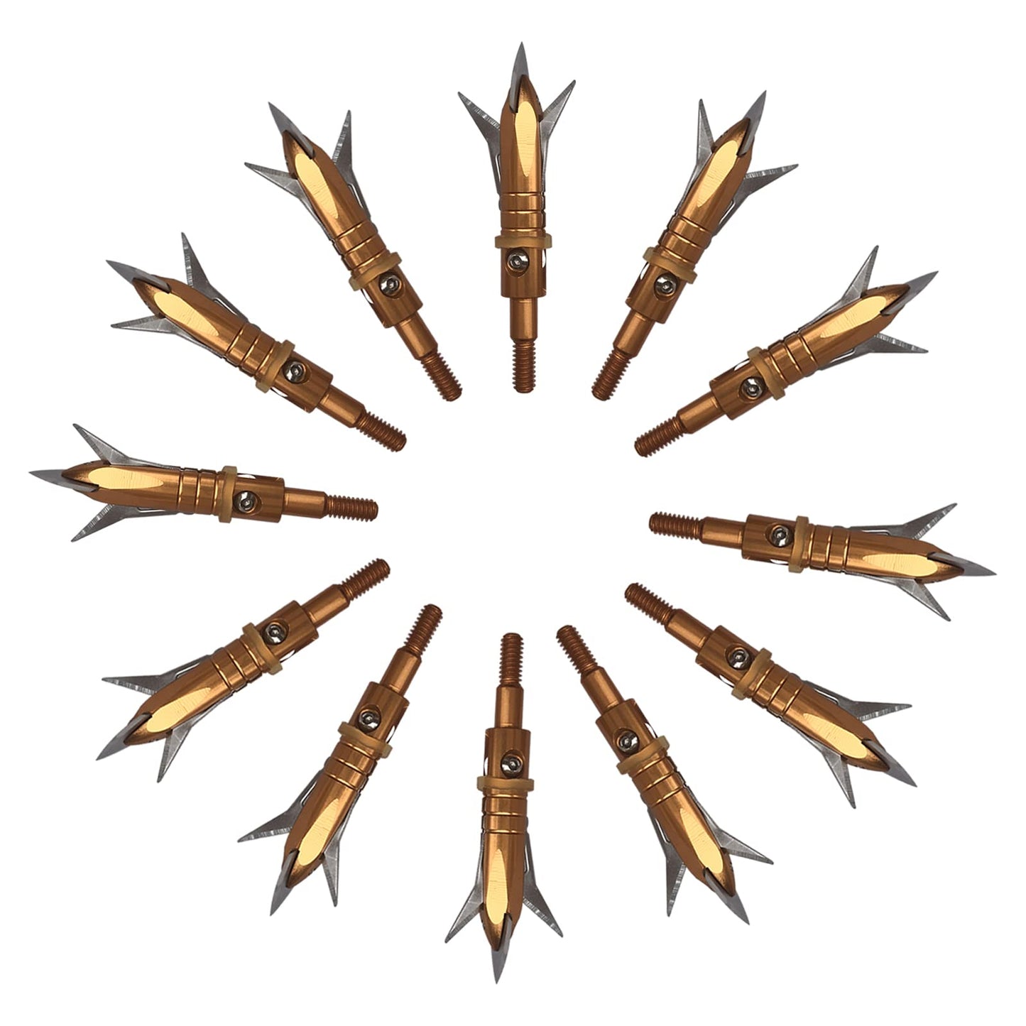 e5e10 12pcs Hunting Broadheads 100 Grain Archery Broadheads New Stell Broadheads + 1 pcs Black Broadhead Case for Arrowheads (Golden)