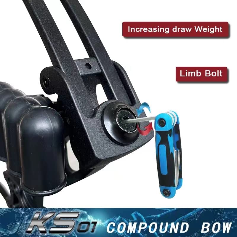 PANDARUS Compound Bow Set 15-45lbs for Pull Beginner and Teens Right Handed Adjustable 18"-29" Draw Length, 320 FPS Speed, Hunting Bow Archery Set New 2024(Black Right Handed PRO)