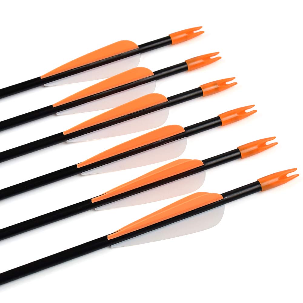 Archery Practice Fiberglass Arrows 28 Inch Target Shooting Safetyglass Recurve Bows Suitable for Youth Children Woman Beginner 6PCS