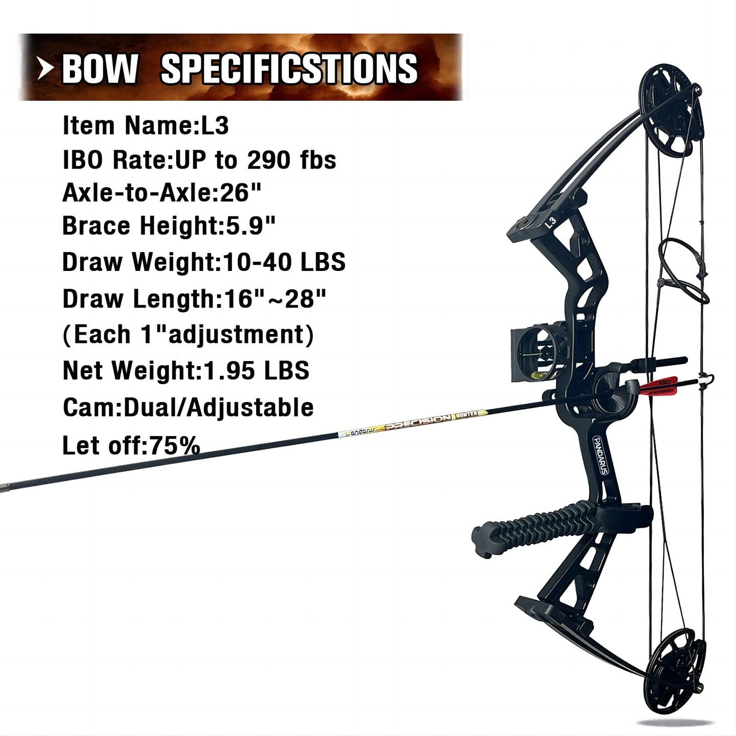 PANDARUS Compound Bow Set 10-40lbs for Pull Child Right Hand Lightweight Design Bow Adjustable 16"~28" Draw Length IBO 290fps New 2023 Professional Set (Black Right-Handed Bag Pro)