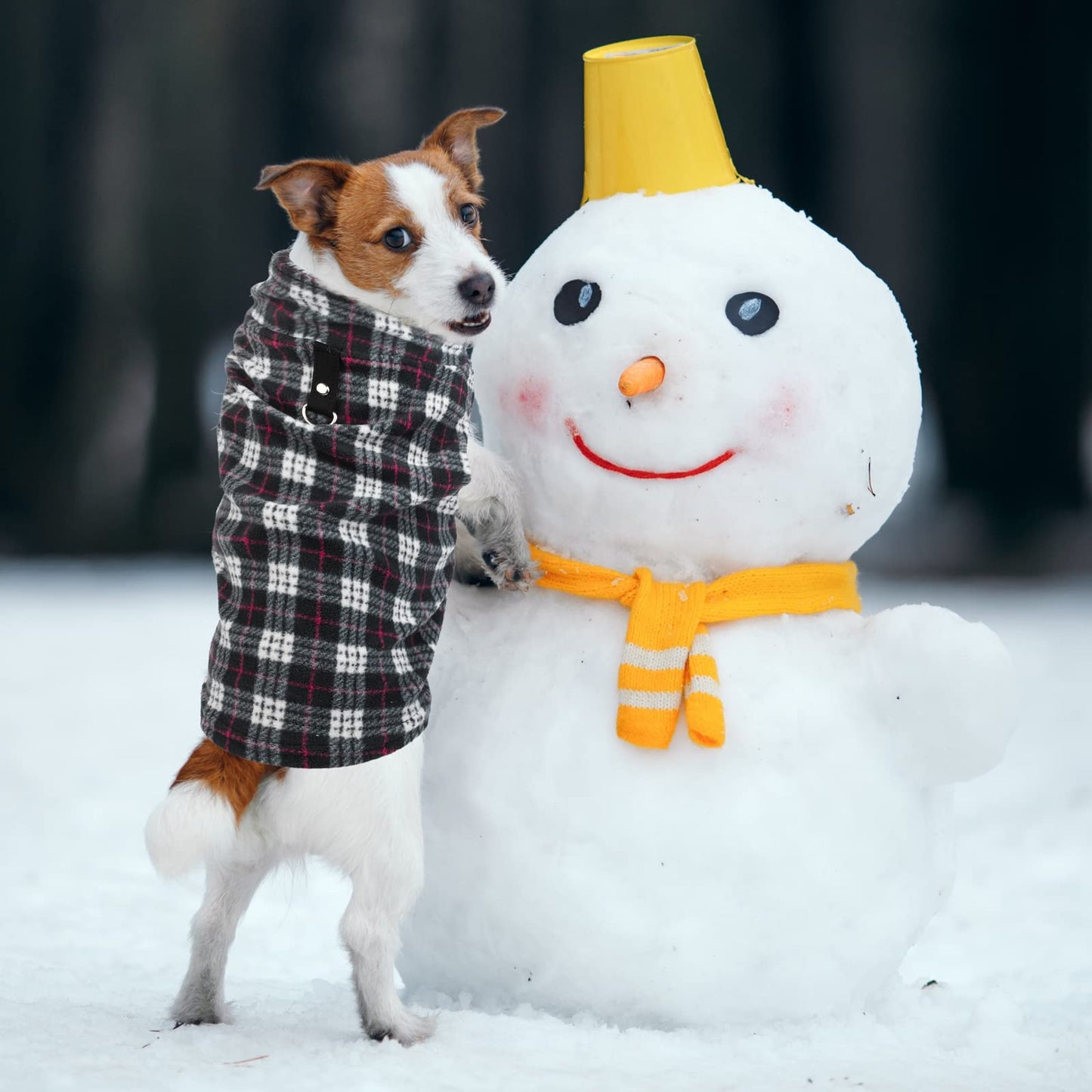 Pedgot 6 Pieces Dog Clothes Warm Dog Fleece Vest with Leash Ring Dog Sweatshirt Winter Pet Clothes Plaid Dog Pullover for Puppy Small Dogs Cat, Medium