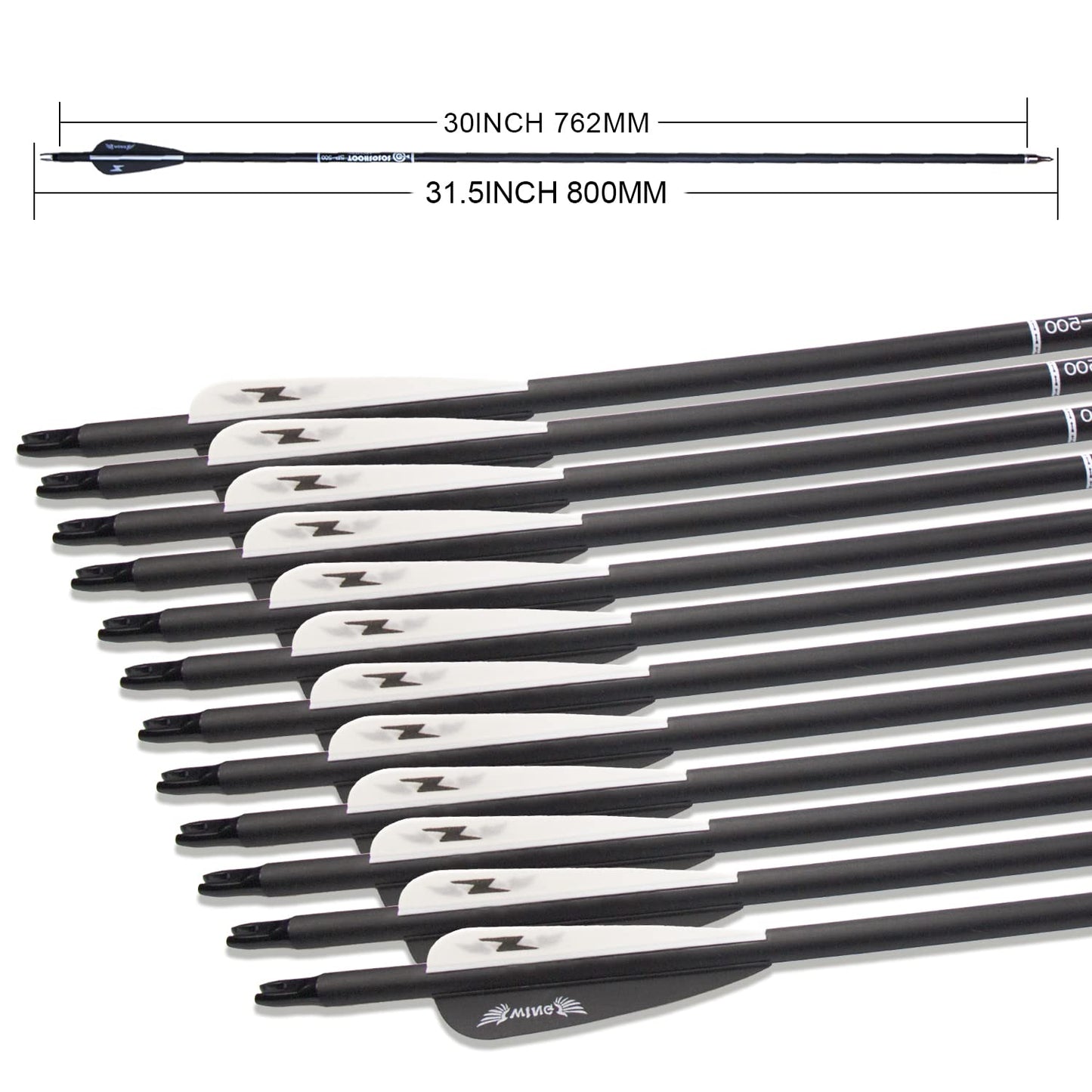 31inch Carbon Arrow Archery Targeting Practice Hunting Arrows for Compound & Recurve Bow with Removable Tips(Pack of 12) (Black White)