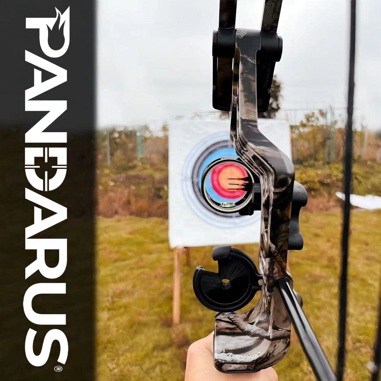 PANDARUS Compound Bow Set 15-45lbs for Pull Beginner and Teens Right Handed Adjustable 18"-29" Draw Length, 320 FPS Speed, Hunting Bow Archery Set New 2024(Black Right Handed)