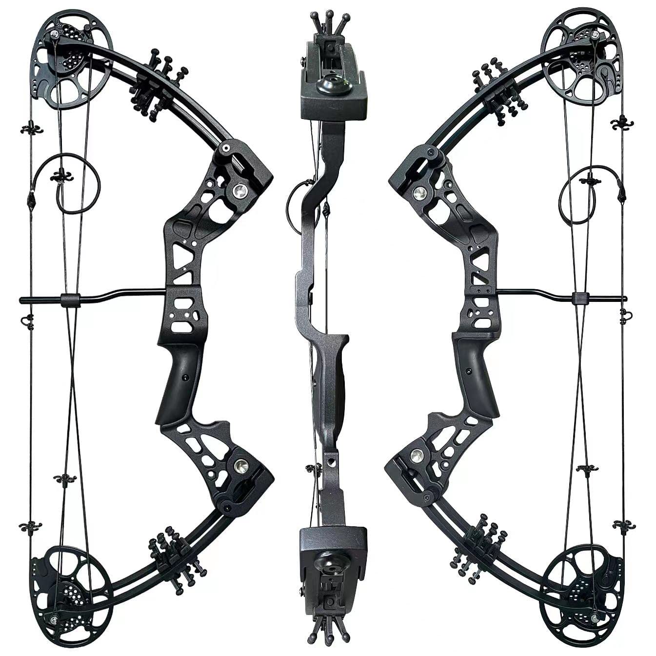 PANDARUS Compound Bow Set 15-45lbs for Pull Beginner and Teens Right Handed Adjustable 18"-29" Draw Length, 320 FPS Speed, Hunting Bow Archery Set New 2024(Black Right Handed)
