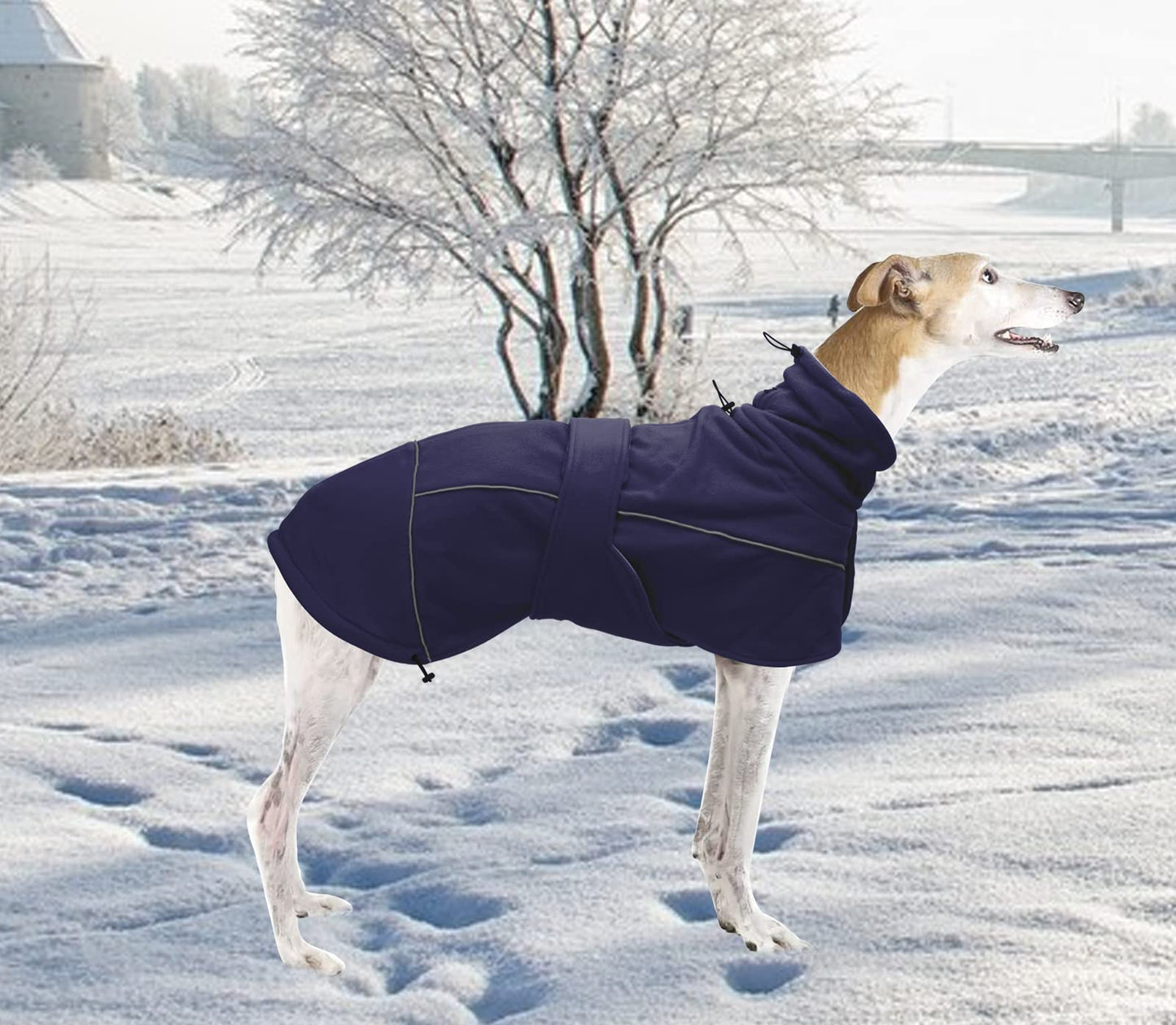 Greyhound Lurcher Winter Coat, Whippet Warm Coat with Fleece, Water Resistant Dog Jacket with Adjustable Bands and Zipper Harness Hole - Navy - Medium