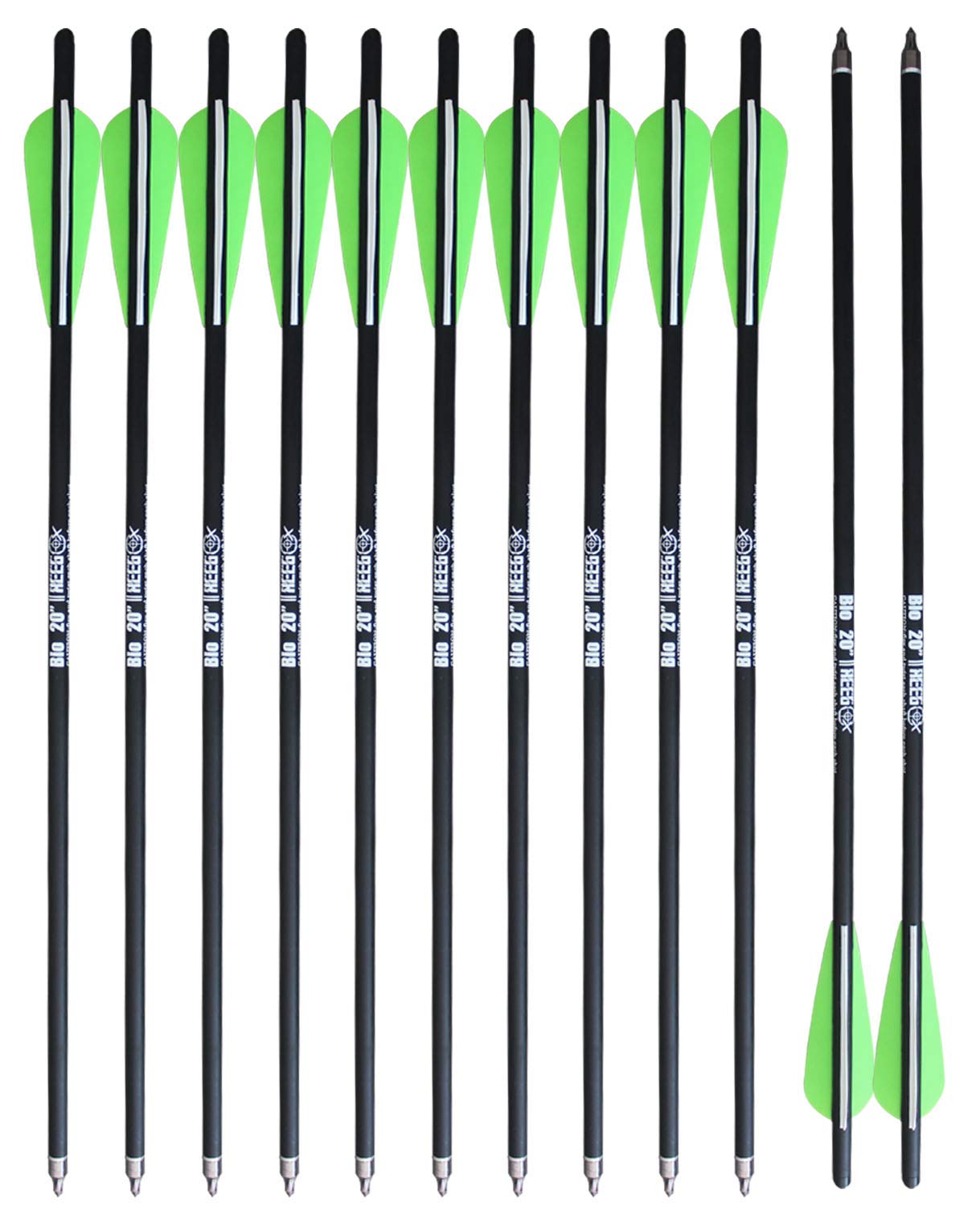 REEGOX 20 inch Crossbow Bolts Bio with 4-Inch Vanes(Pack of 12)
