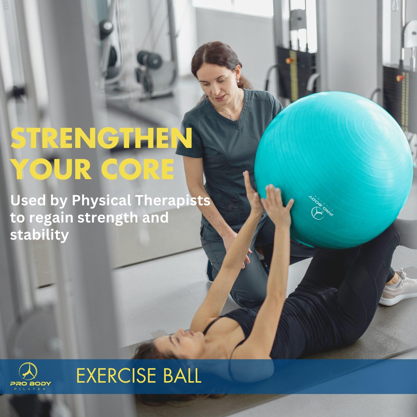 ProBody Pilates Ball Exercise Ball, Yoga Ball Chair, Multiple Sizes Stability Ball Chair, Gym Grade Birthing Ball for Pregnancy, Fitness, Balance, Workout and Physical Therapy (Silver, 65 cm)