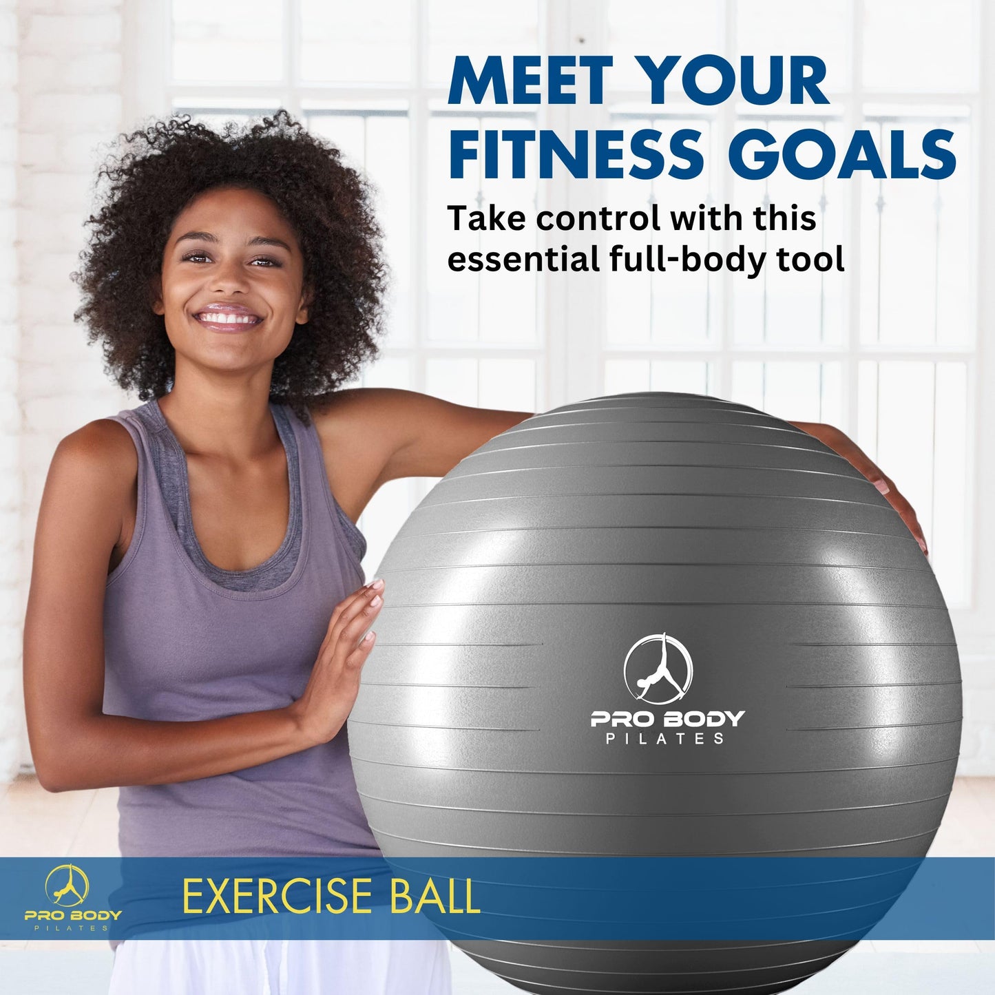 ProBody Pilates Ball Exercise Ball, Yoga Ball Chair, Multiple Sizes Stability Ball Chair, Gym Grade Birthing Ball for Pregnancy, Fitness, Balance, Workout and Physical Therapy (Silver, 65 cm)