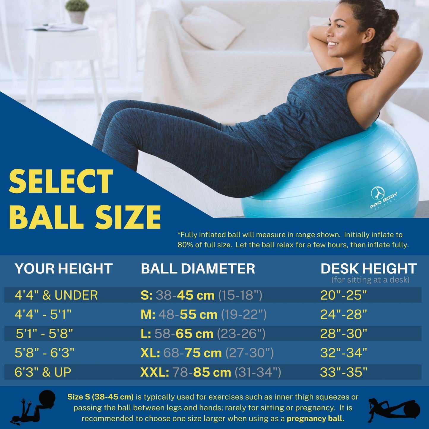 ProBody Pilates Ball Exercise Ball, Yoga Ball Chair, Multiple Sizes Stability Ball Chair, Gym Grade Birthing Ball for Pregnancy, Fitness, Balance, Workout and Physical Therapy (Silver, 65 cm)
