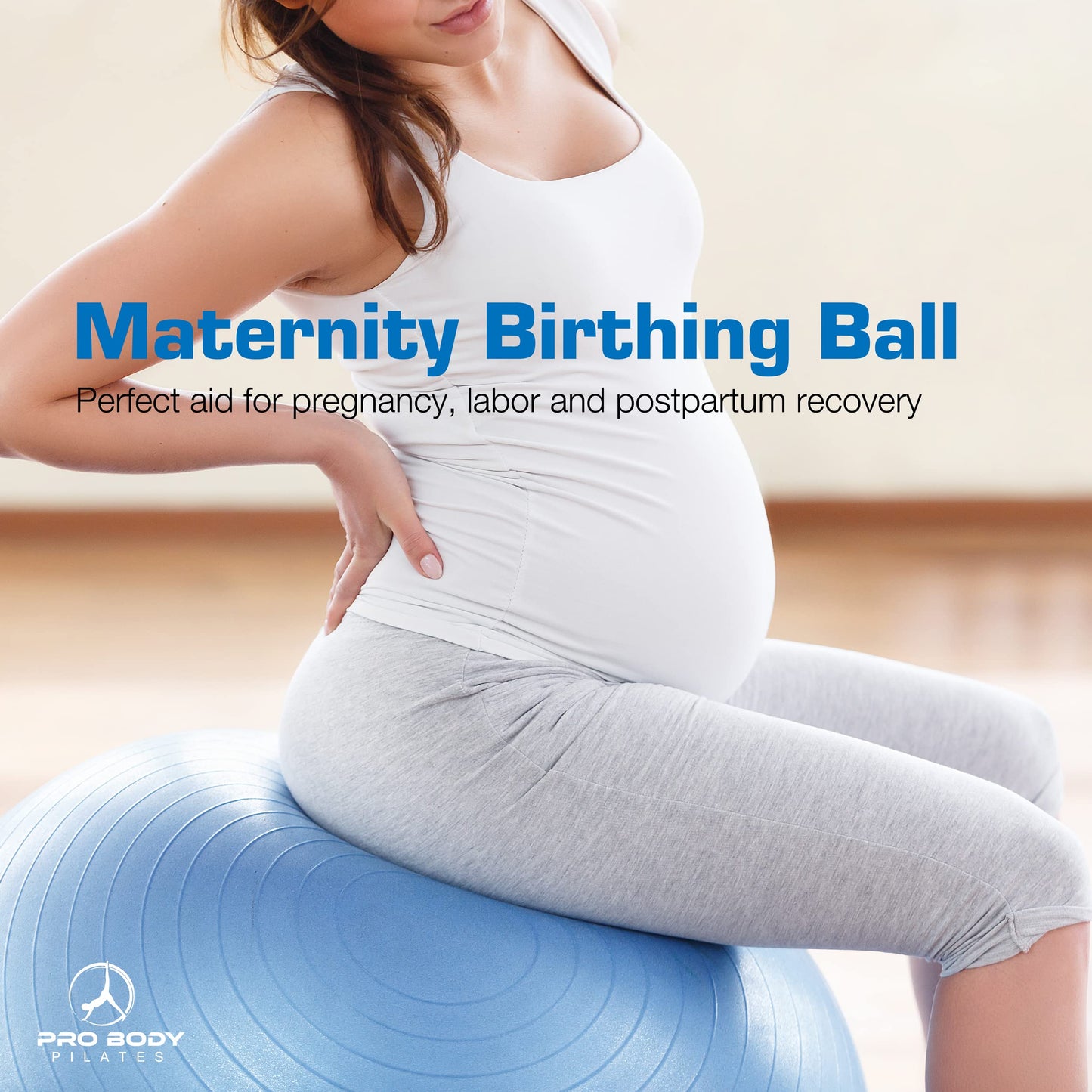 ProBody Pilates Ball Exercise Ball, Yoga Ball Chair, Multiple Sizes Stability Ball Chair, Gym Grade Birthing Ball for Pregnancy, Fitness, Balance, Workout and Physical Therapy (Silver, 65 cm)