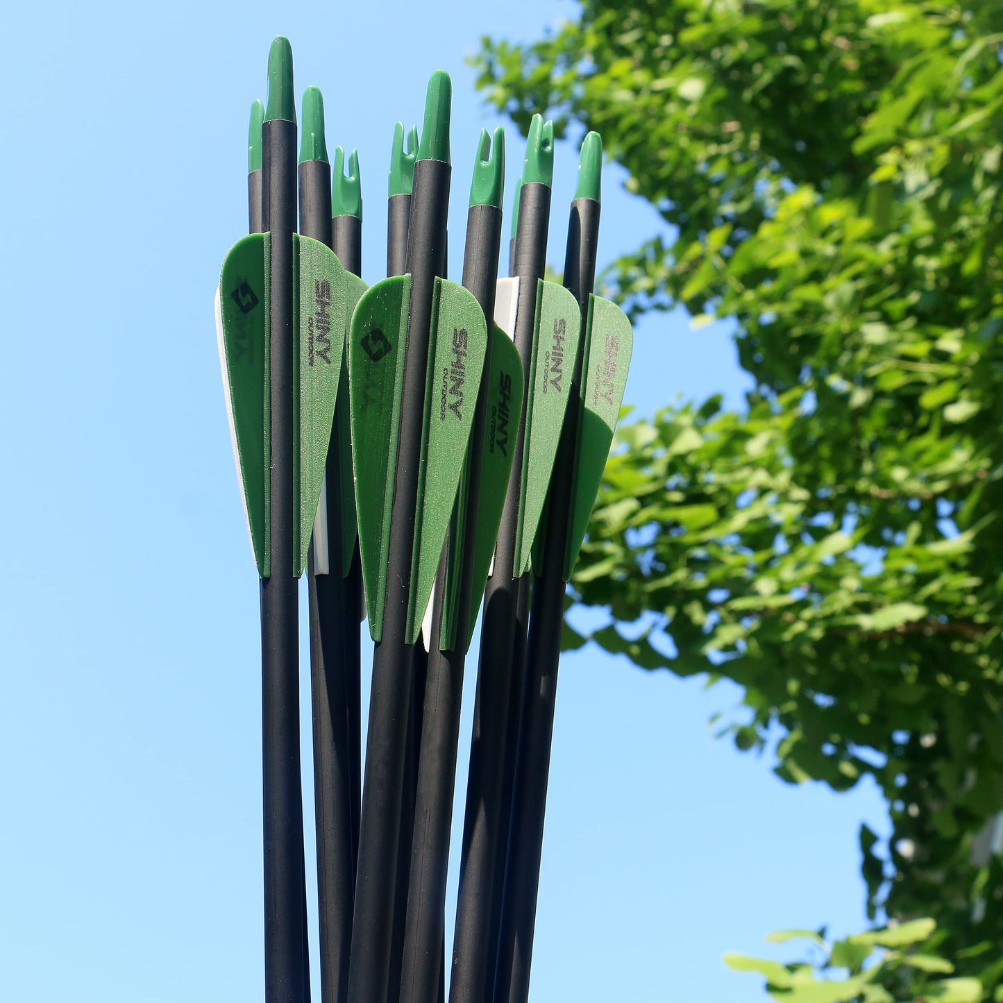 TIGER ARCHERY 30Inch Carbon Arrow Practice Hunting Arrows with Removable Tips for Compound & Recurve Bow(Pack of 12) (Deep Green White)