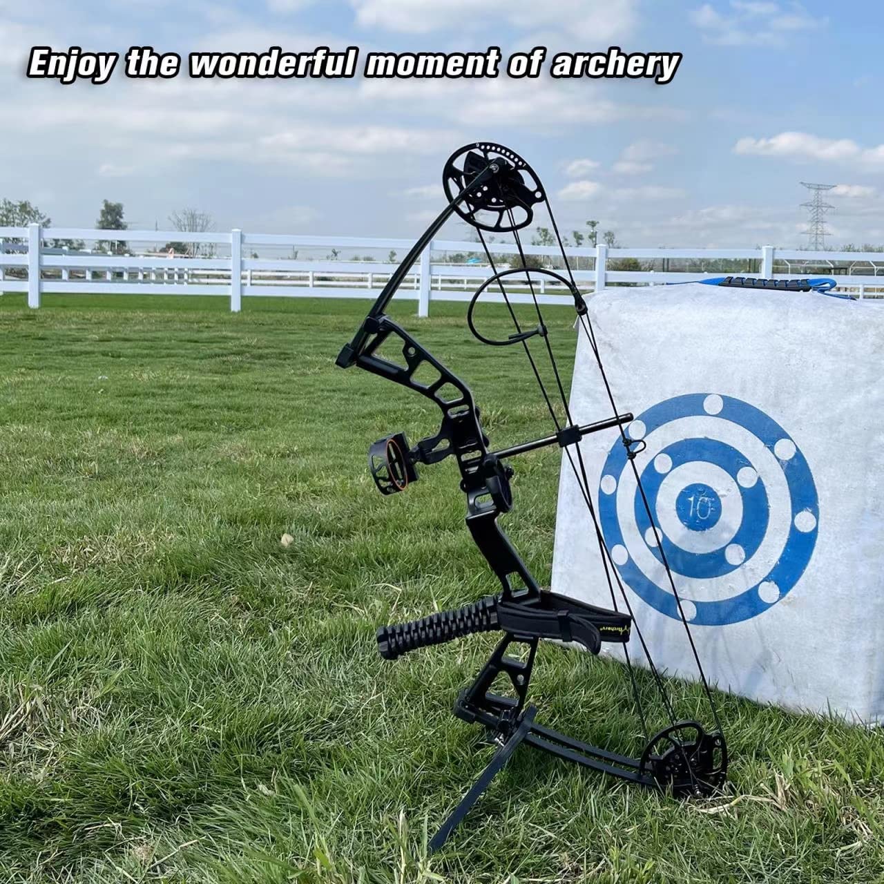 PANDARUS Compound Bow Set 10-40lbs for Pull Child Right Hand Lightweight Design Bow Adjustable 16"~28" Draw Length IBO 290fps New 2023 Professional Set (Black Right-Handed Bag Pro)