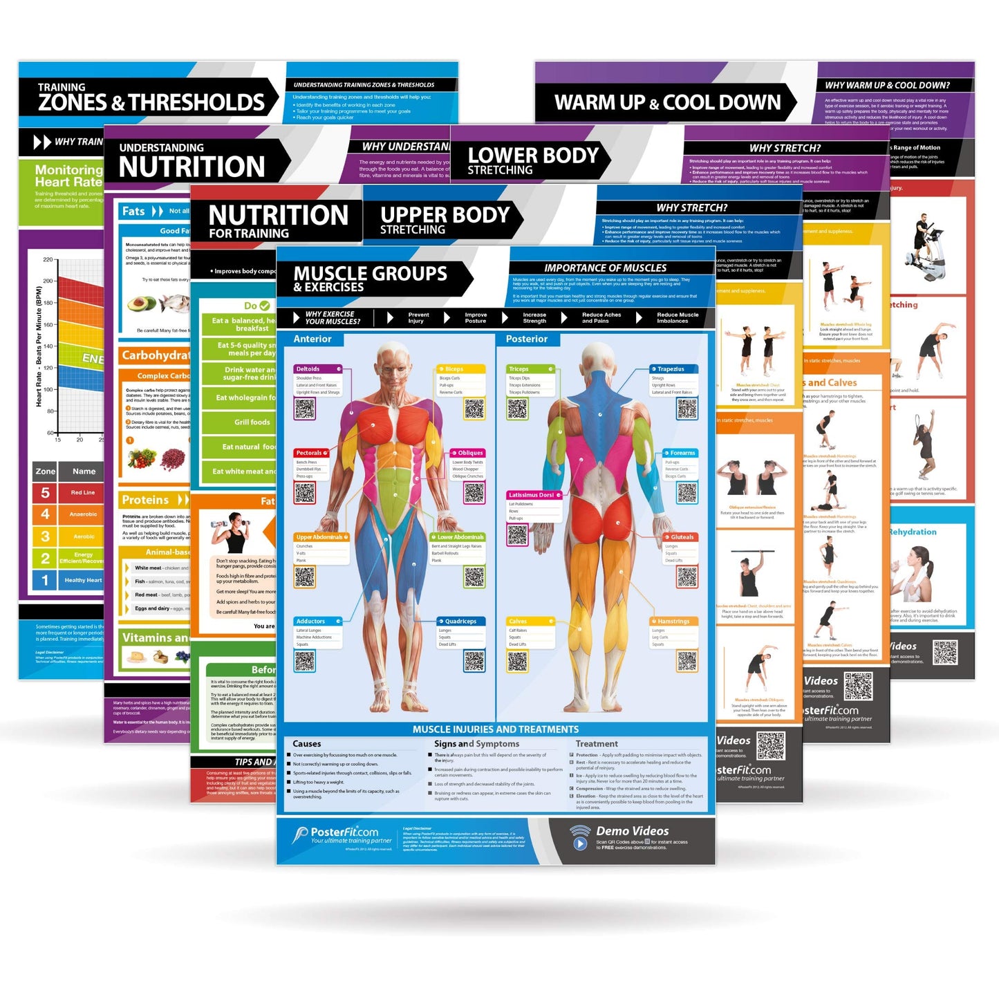 Body Conditioning Gym Posters - Set of 7 Fitness Posters - Laminated Exercise Posters - EXTRA LARGE - 33” x 23.5” - Physical Training and Workouts - Includes Video Training Support