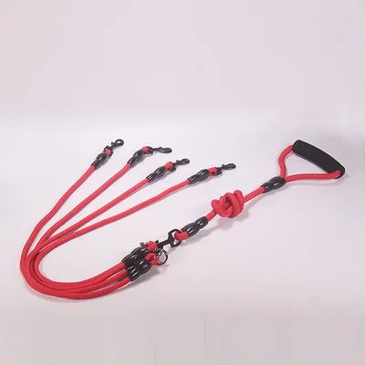 Double Dog Leash Nylon Rope