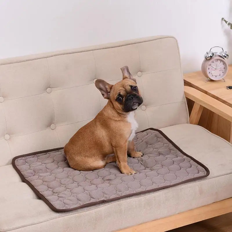 Cooling Dog Mat & Pet Bed