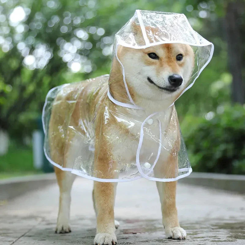 Transparent Hooded Dog Raincoat