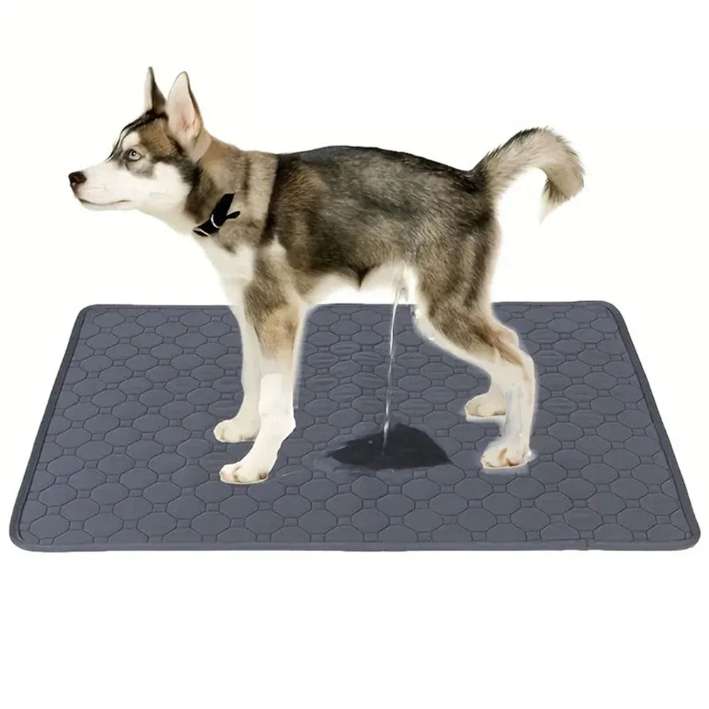 Dog Pee Pad & Training Mat