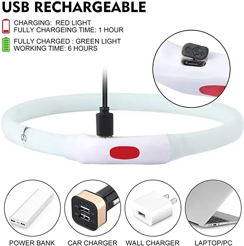 USB Rechargeable LED Dog Collar