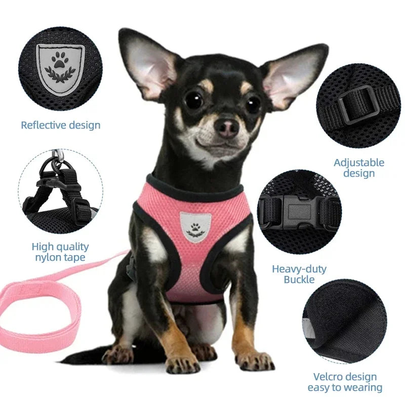 Adjustable Cat Harness for Walking