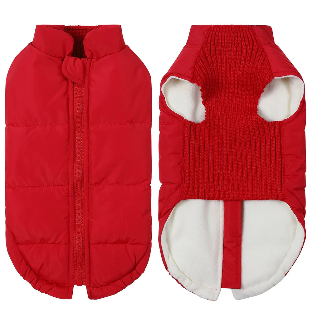 Winter Dog Jacket