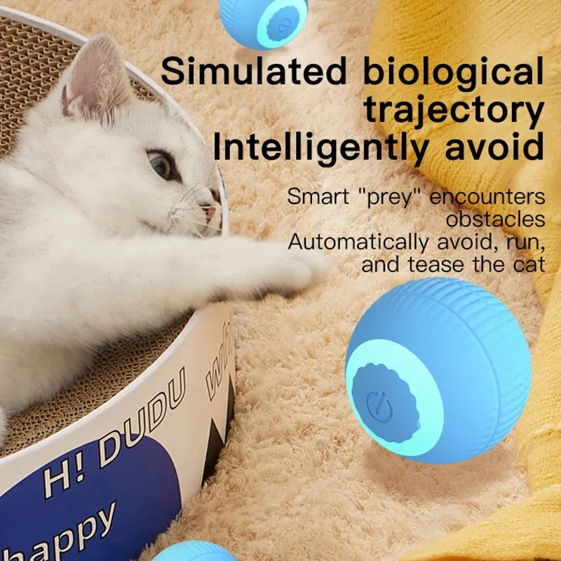 Self-Moving Cat Ball Toy