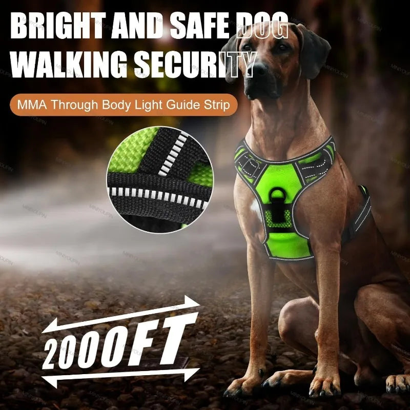 LED Dog Harness – Night Safety Essential