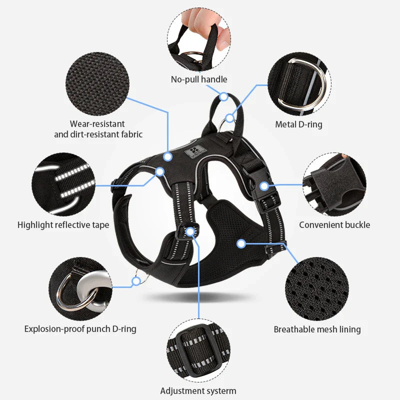 Personalized No-Pull Dog Harness