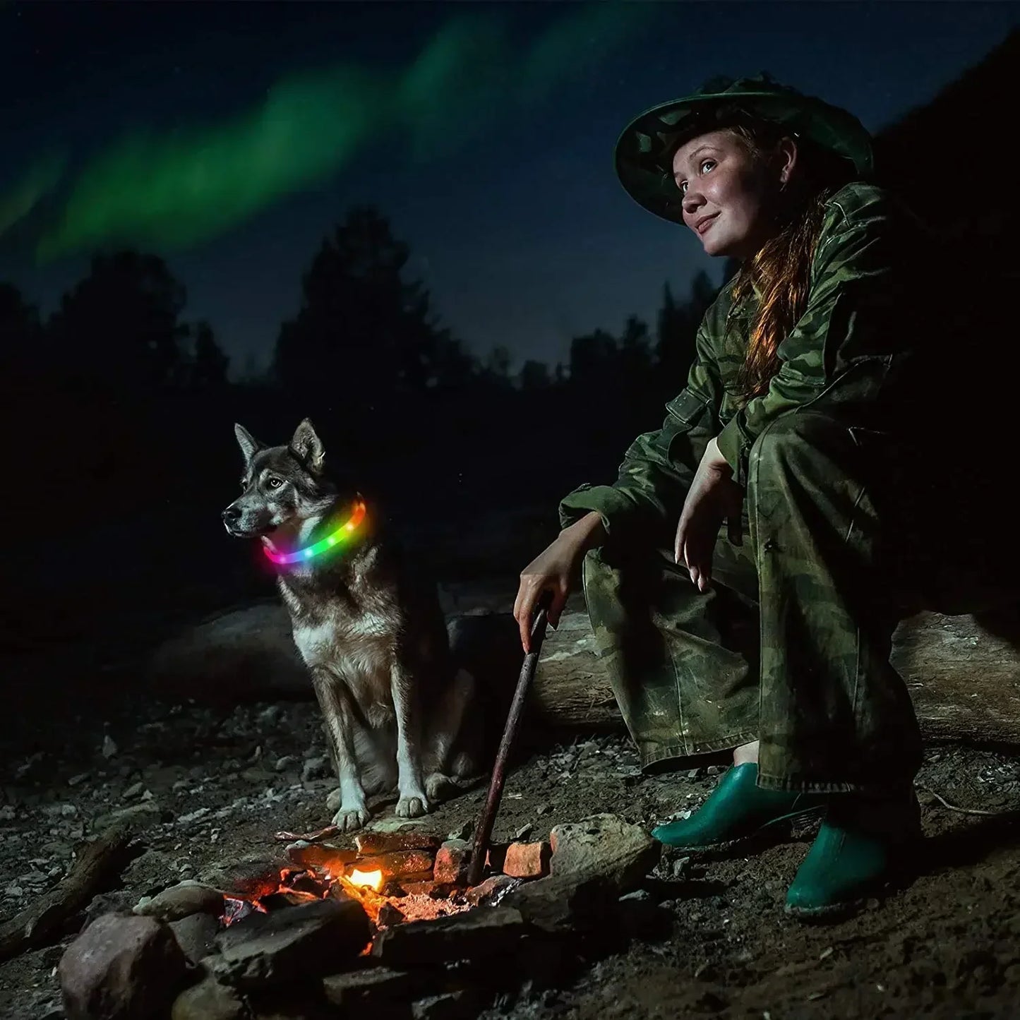 USB Rechargeable LED Dog Collar