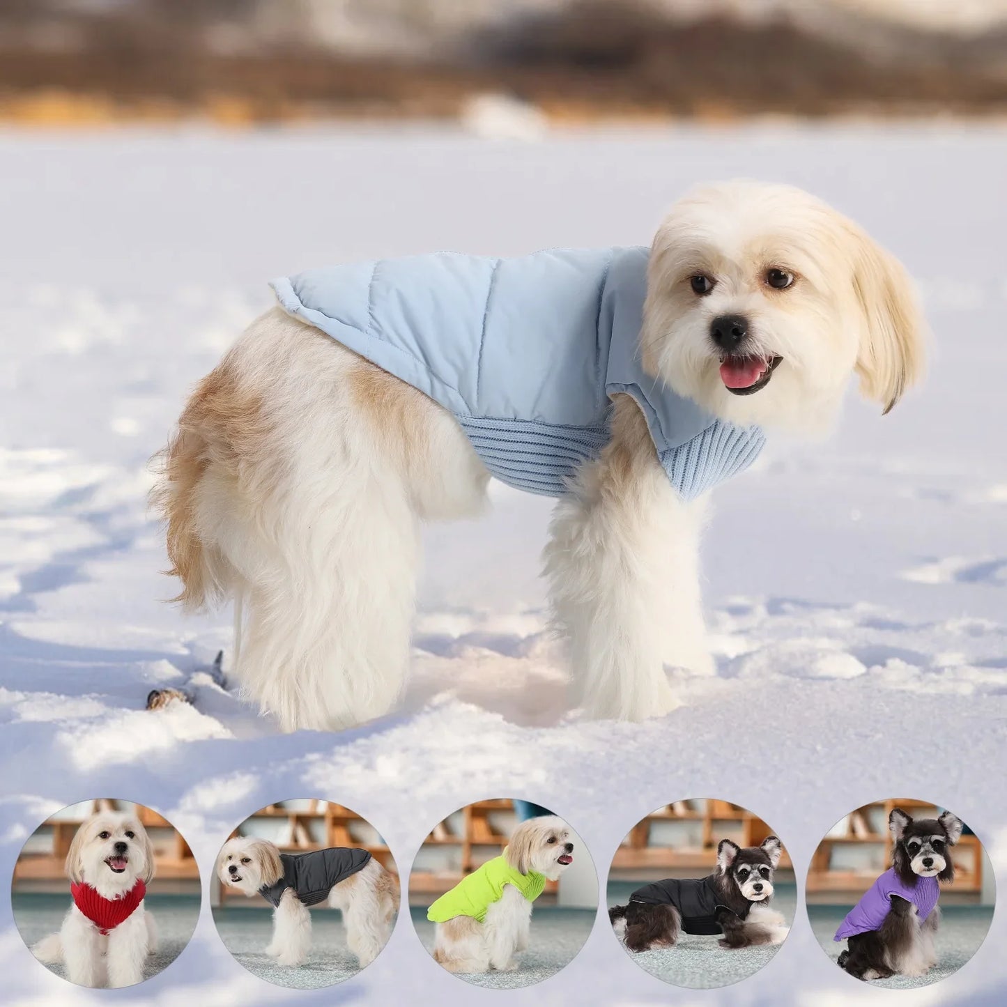 Winter Dog Jacket