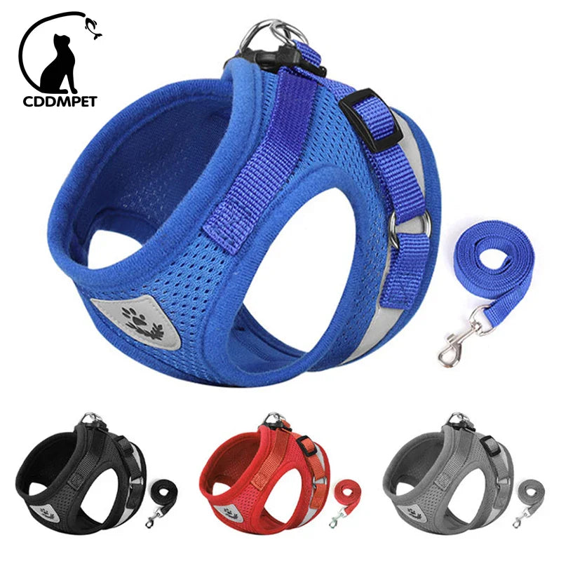 Dog Harness & Leash Set