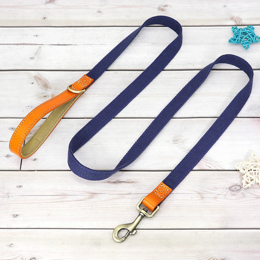 Custom Nylon Dog Collar & Leash
