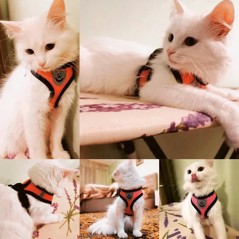 Adjustable Cat Harness for Walking