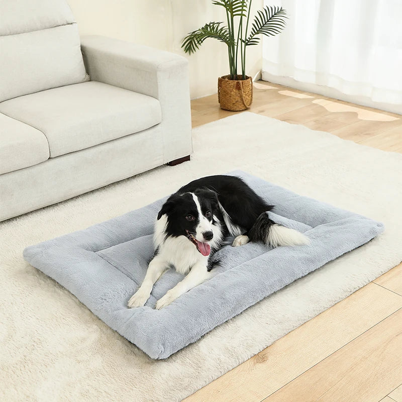 Soft Dog Bed & Pet Basket